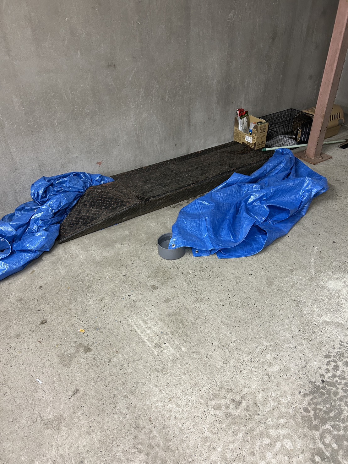 倉庫内でブルーシートを使って猫の進路を絞り捕獲機を設置した場所